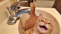 �� ����� 8� ������� ��������� ������� ����